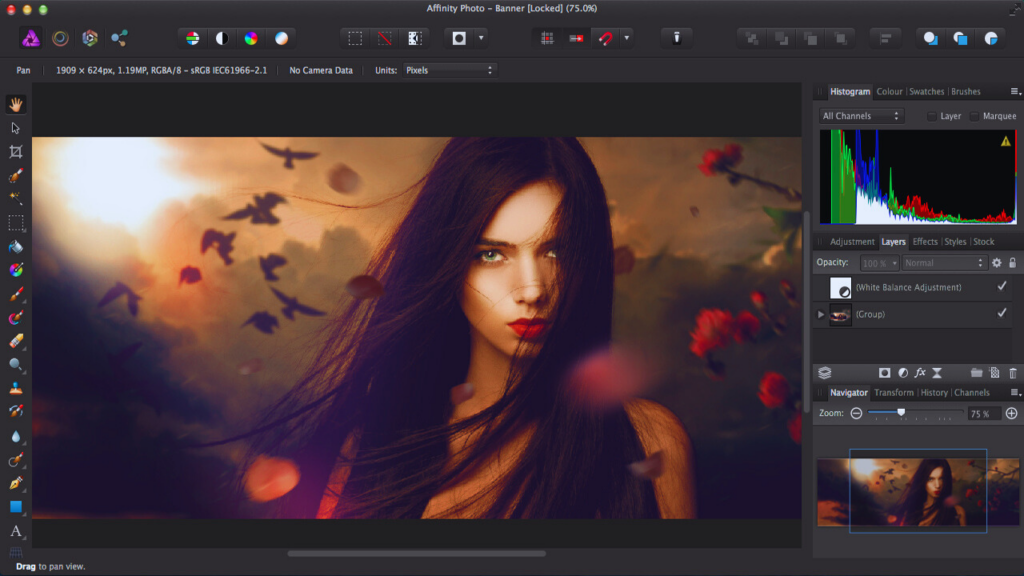 Serif Affinity Photo